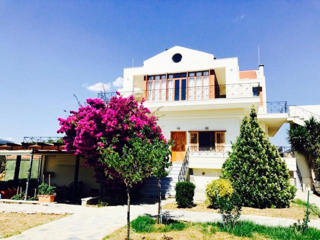 Stunning sea view loft — photo 1