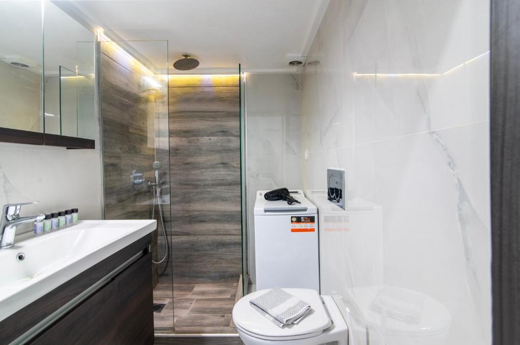 Luxury Studio in Athens City Center photo 3