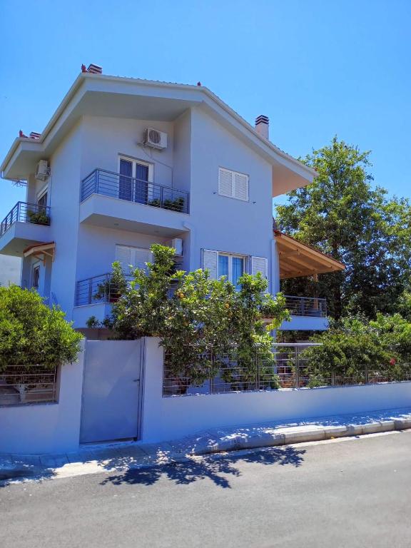 Homey Family ArtAki — photo 1