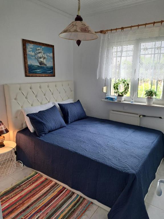 Alexanders House photo 2