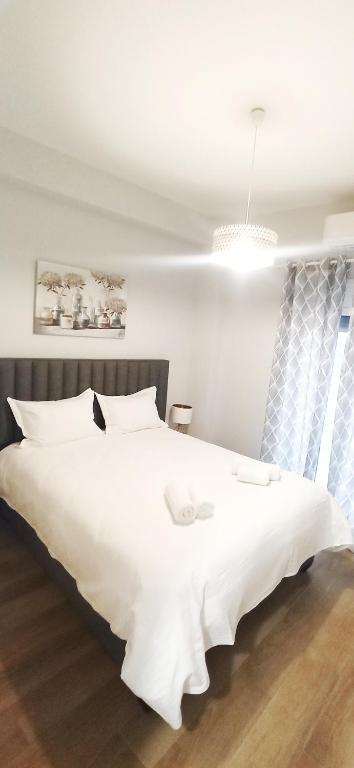 Athens' Secret Jewel by YHA — photo 1