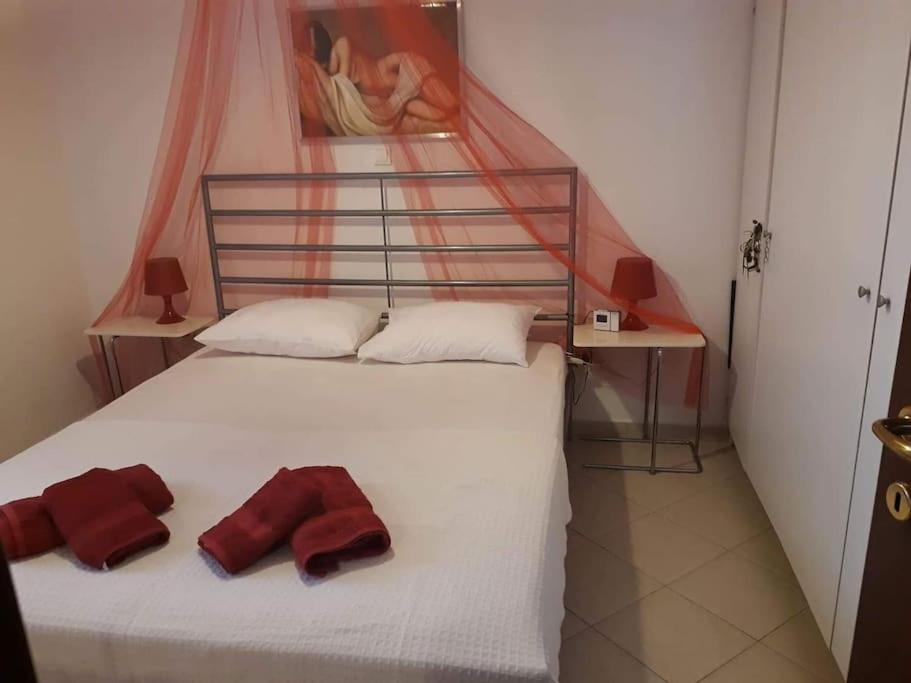 Any Summer garden house photo 2