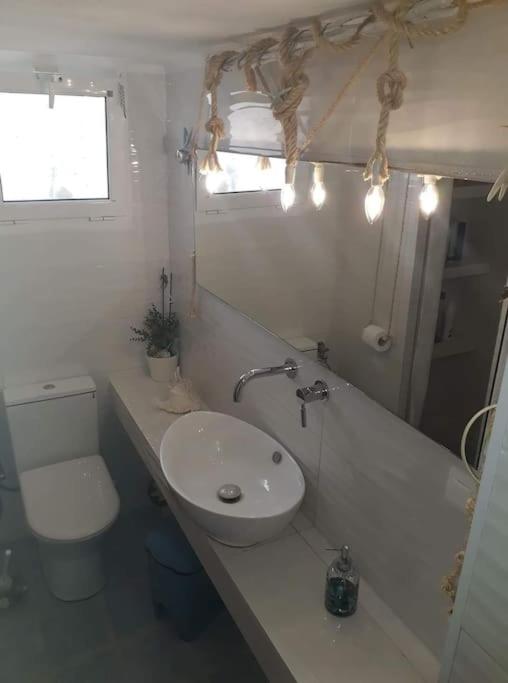 Any Summer garden house photo 3