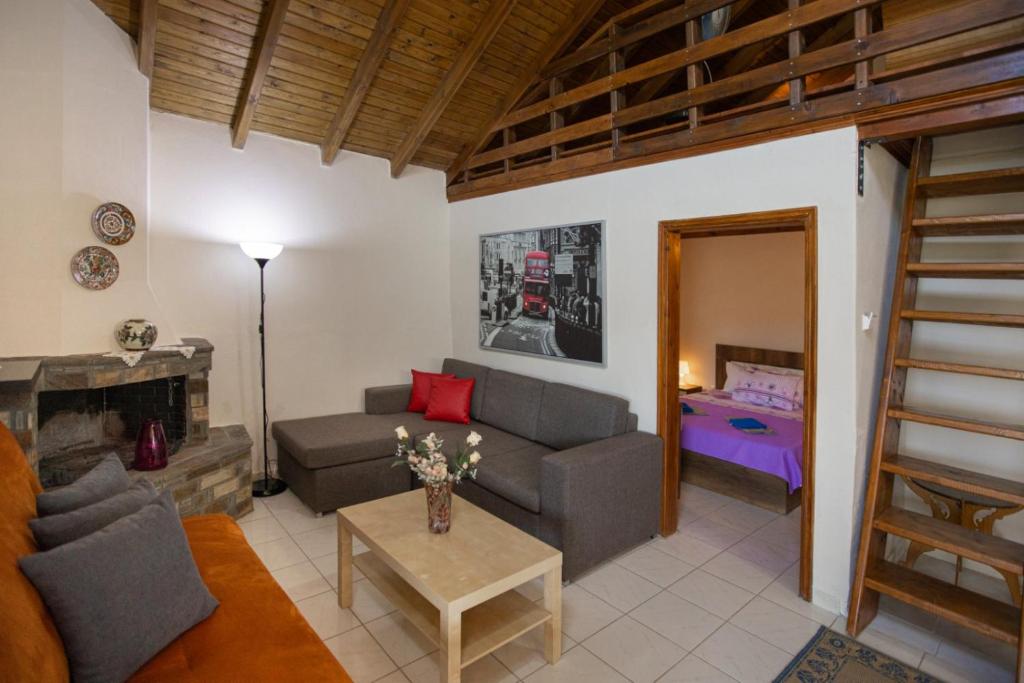 vila halkidiki photo 3