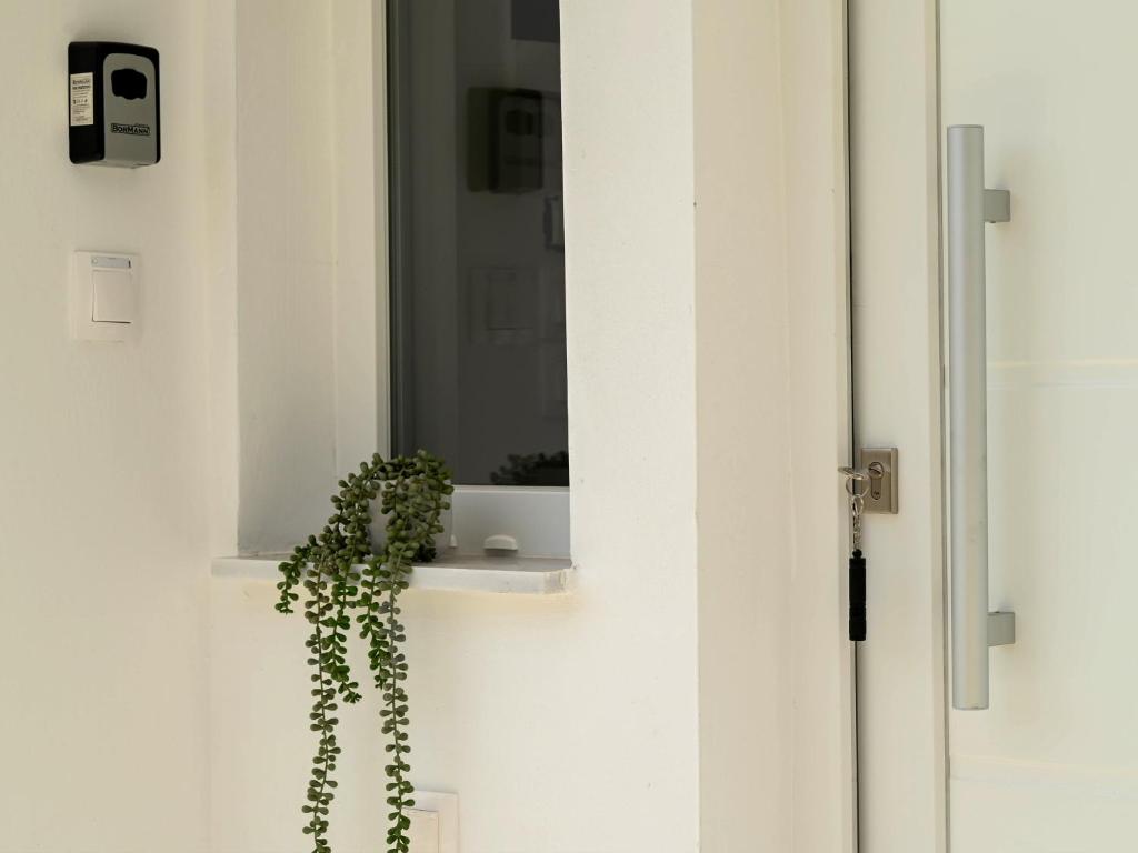 Zoé Suites photo 3