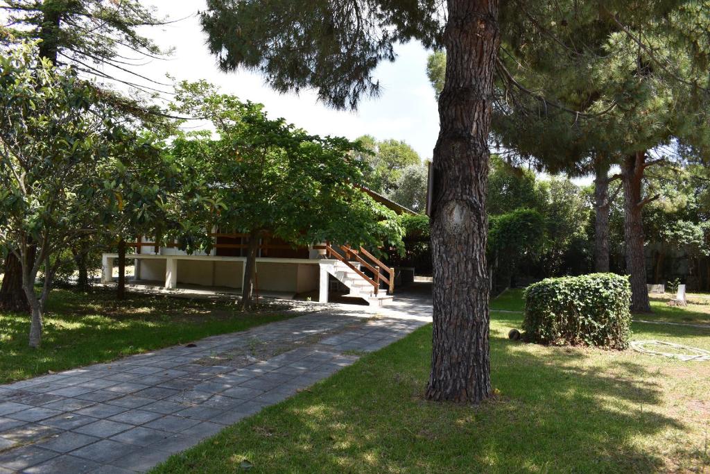 Booking.com: Hotels in Nea Kalikratia. Book your hotel now! photo 2