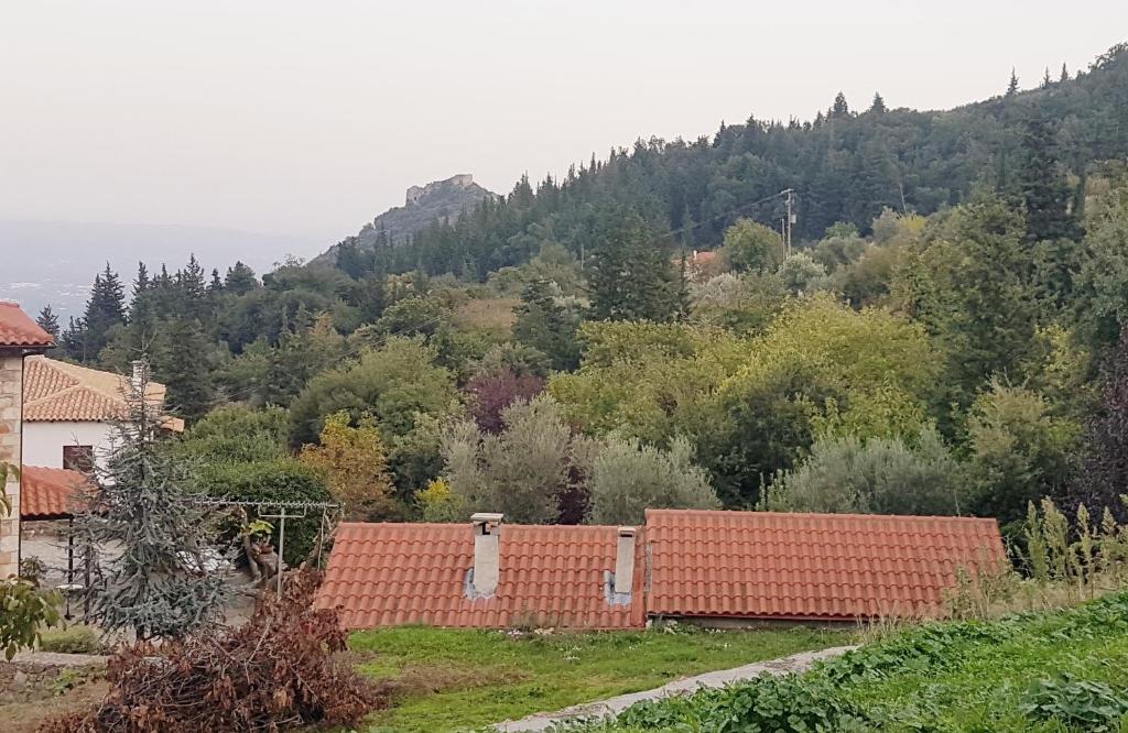 Luxury House In The Hills — photo 1