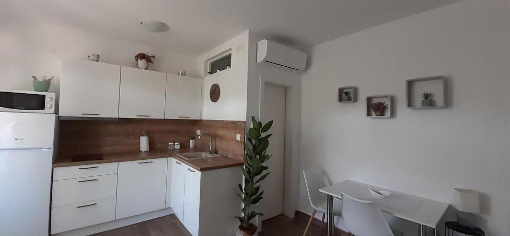 Studio Bianca - studio with terrace near the sea photo 3