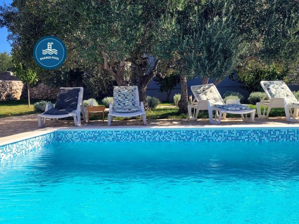 Apartment Olive shared pool — photo 1
