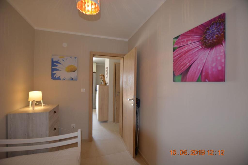 Dreamlodge - Luxe Dalmatian Villa photo 3