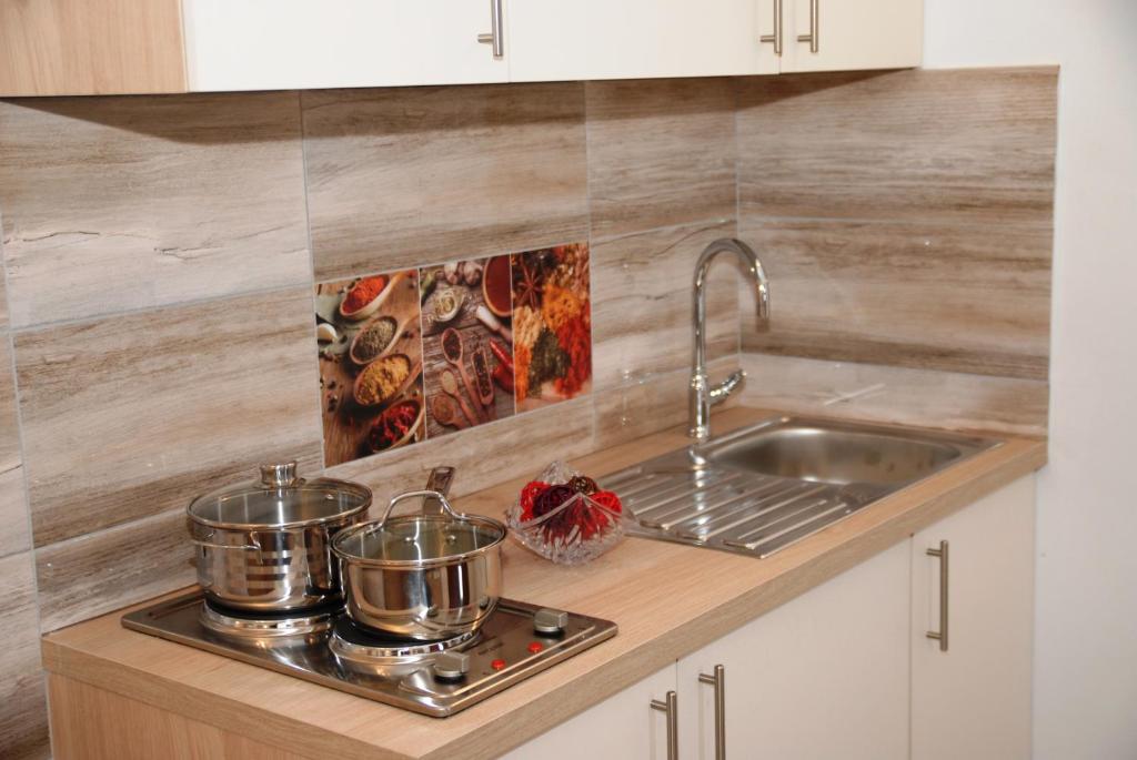 Studio apartmani Toplička bajka photo 3