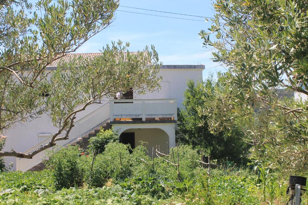 Apartments 501 - spacious and bright apartment on island of Rab — photo 1