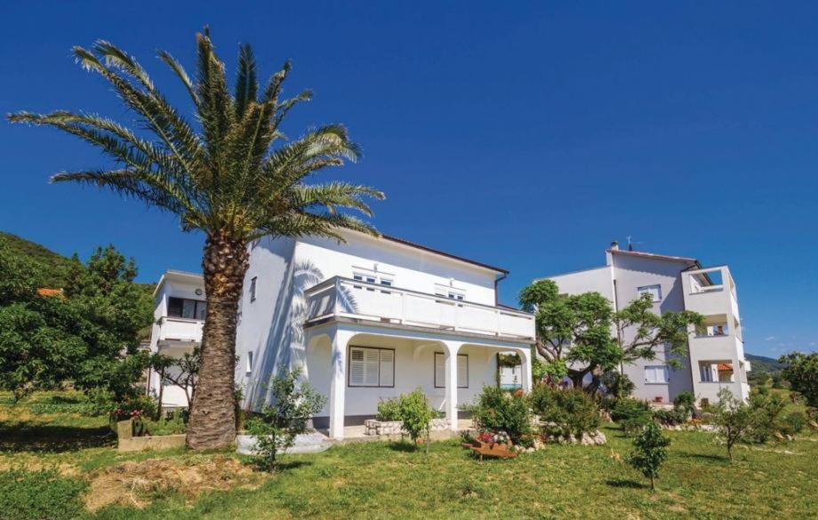 Apartments 501 - spacious and bright apartment on island of Rab photo 2