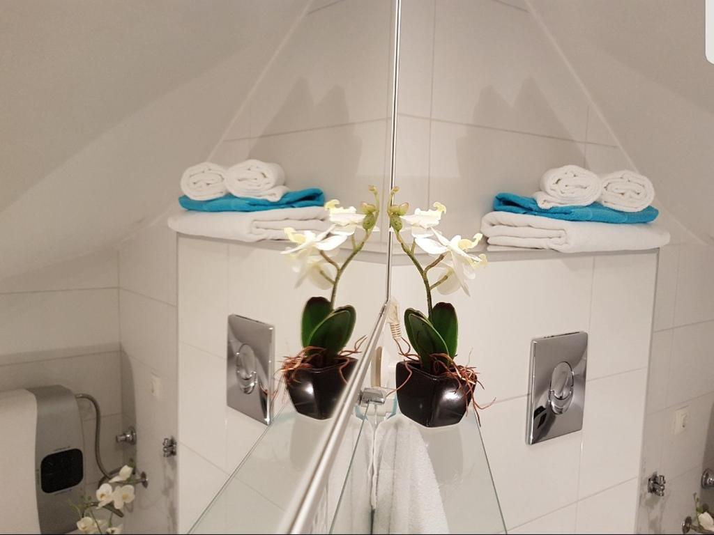 Studio apartment Lily photo 3