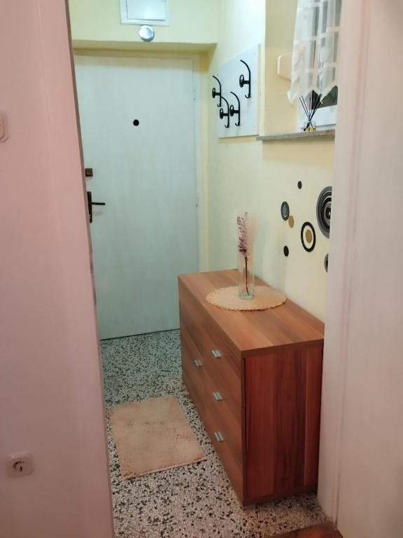 Studio apartman Lilijana photo 3