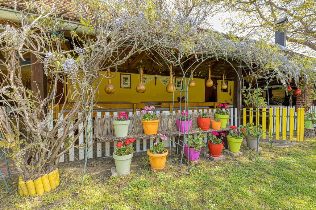 Rural Homestead Trenkovo - Happy Rentals photo 2