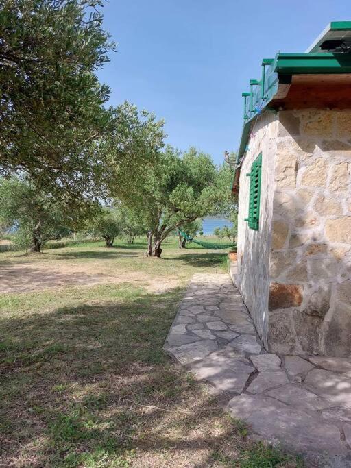 Robinson house Sea & olives — photo 1
