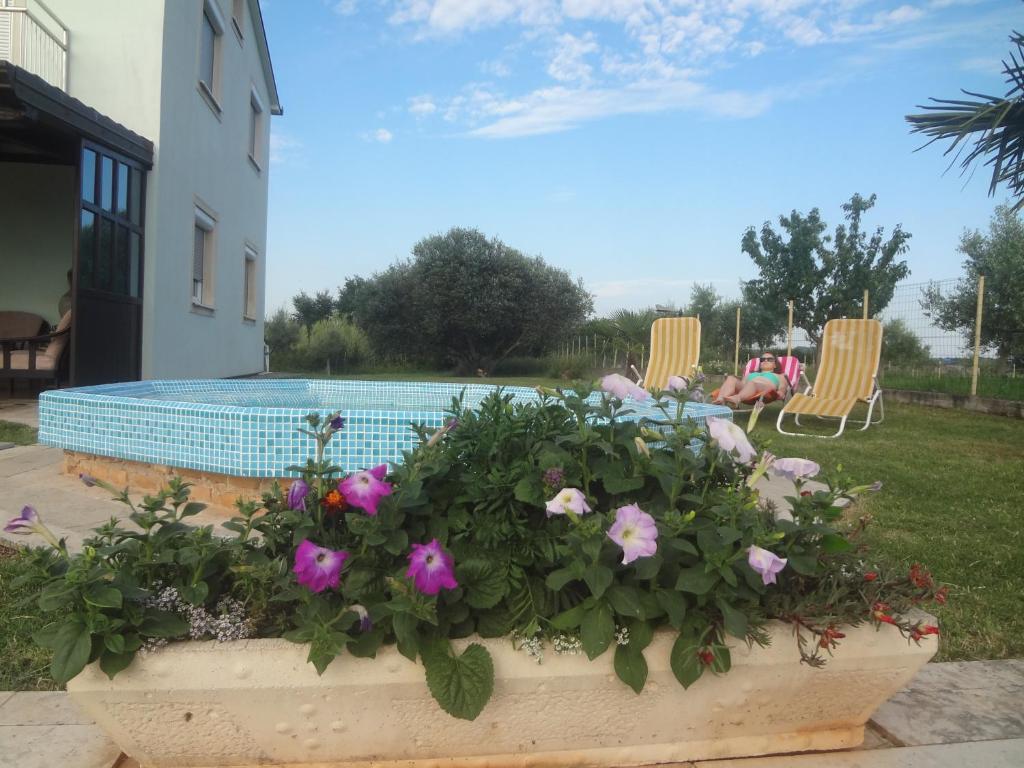 Apartments Ždravac — photo 1