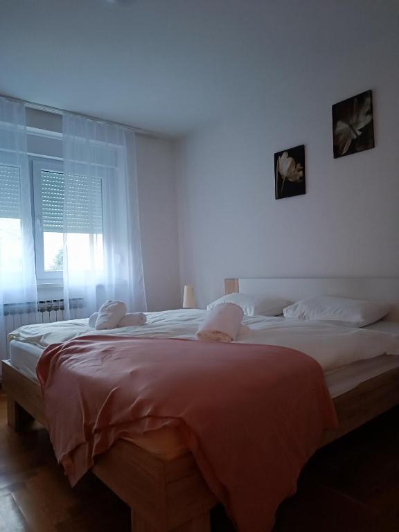 Trnsko photo 2