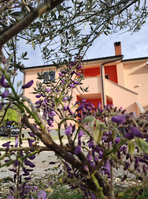 Apartman Tramonto — photo 1