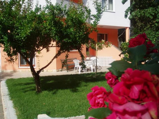 Apartments Karaba — photo 1