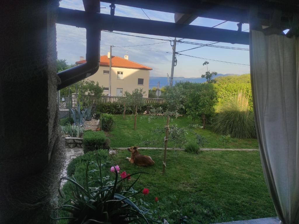 Zoran Vukusic Apartment — photo 1