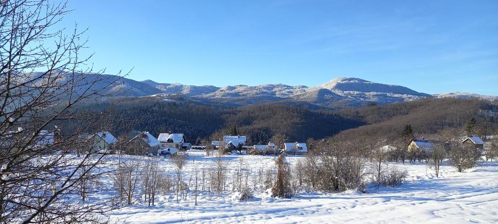 Apartment ROKO with sauna & view