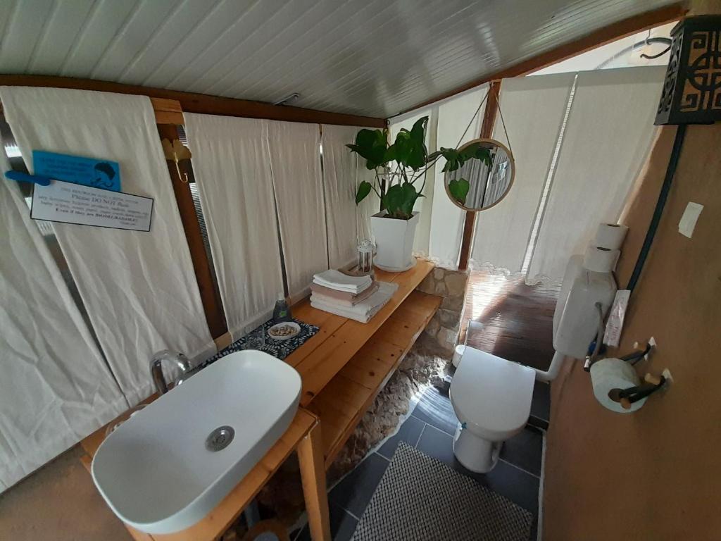 A tiny sea home in the wilderness photo 3