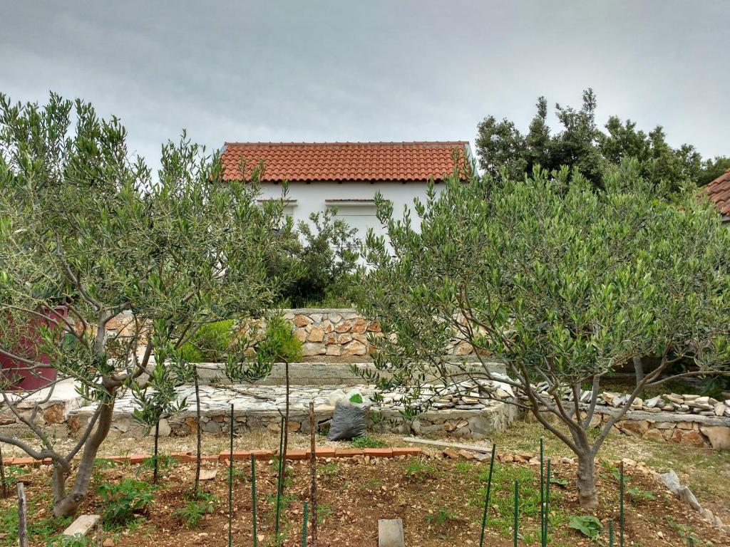 Summer cottage with breathtaking view photo 2