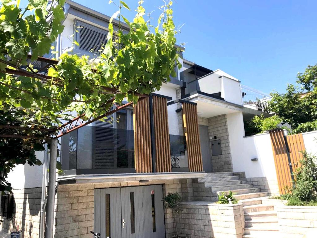 Sunny House photo 3