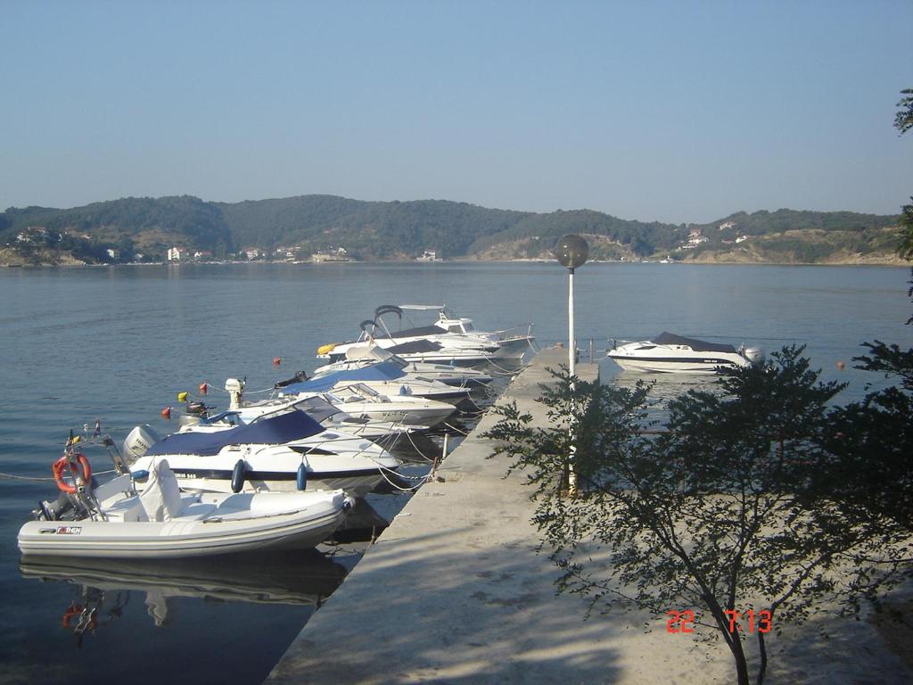 House Šubić — photo 1