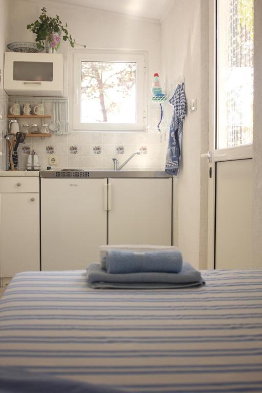 Studio apartment in Veli Rat with sea view photo 3