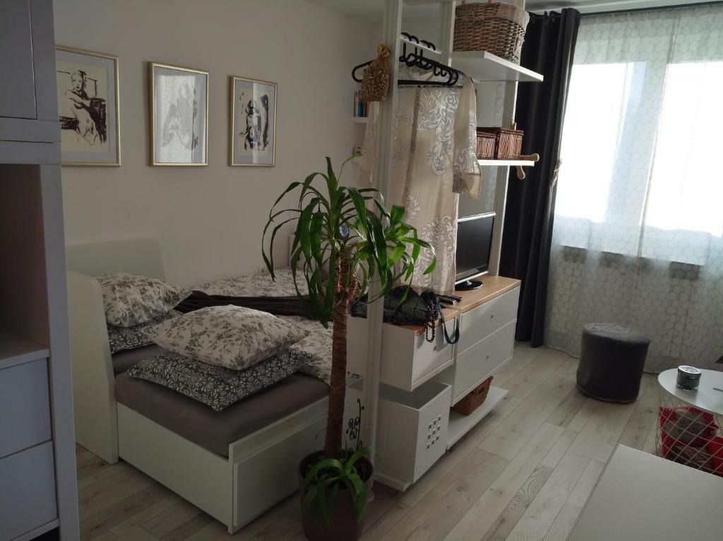 New Studio Apartment Sun with free parking photo 2