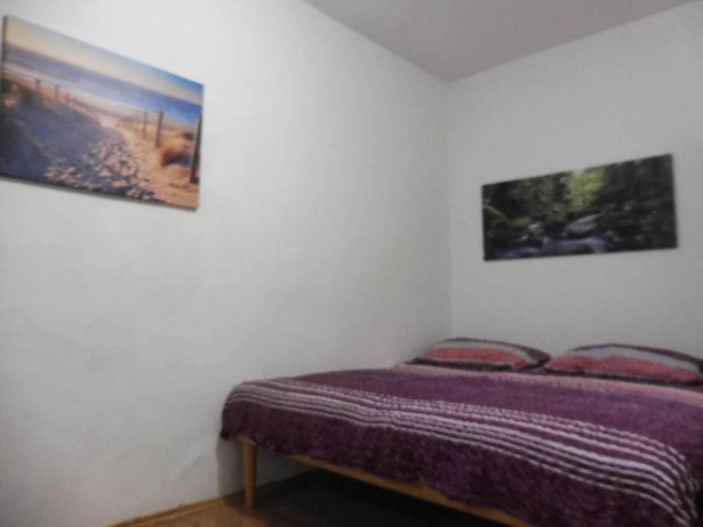 Guest House Arena Rooms photo 2