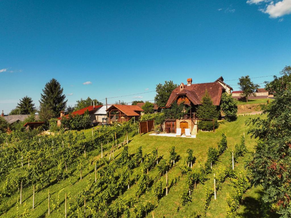Holiday Home Wine & Relax Sveti Martin na Muri — photo 1