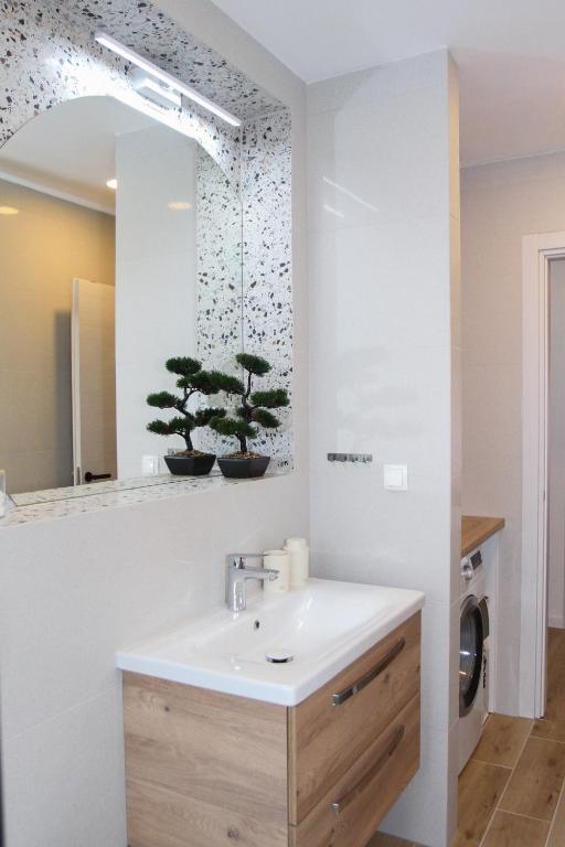 Apartment Marela photo 3