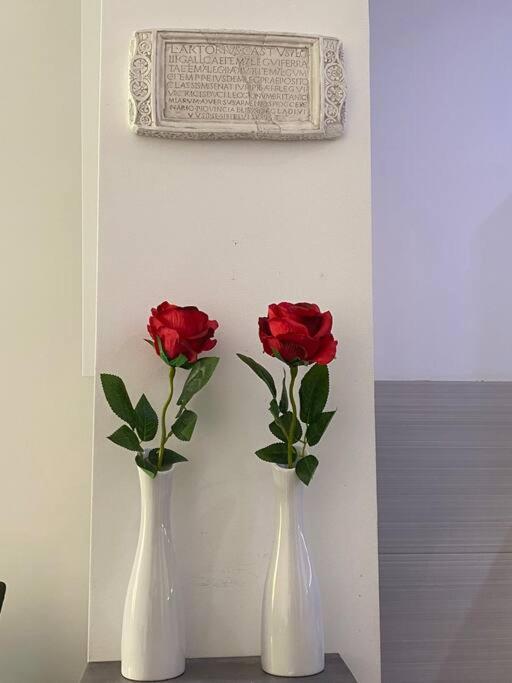 Split City Center - Lovely and spacious 2Bdrm Apt photo 2
