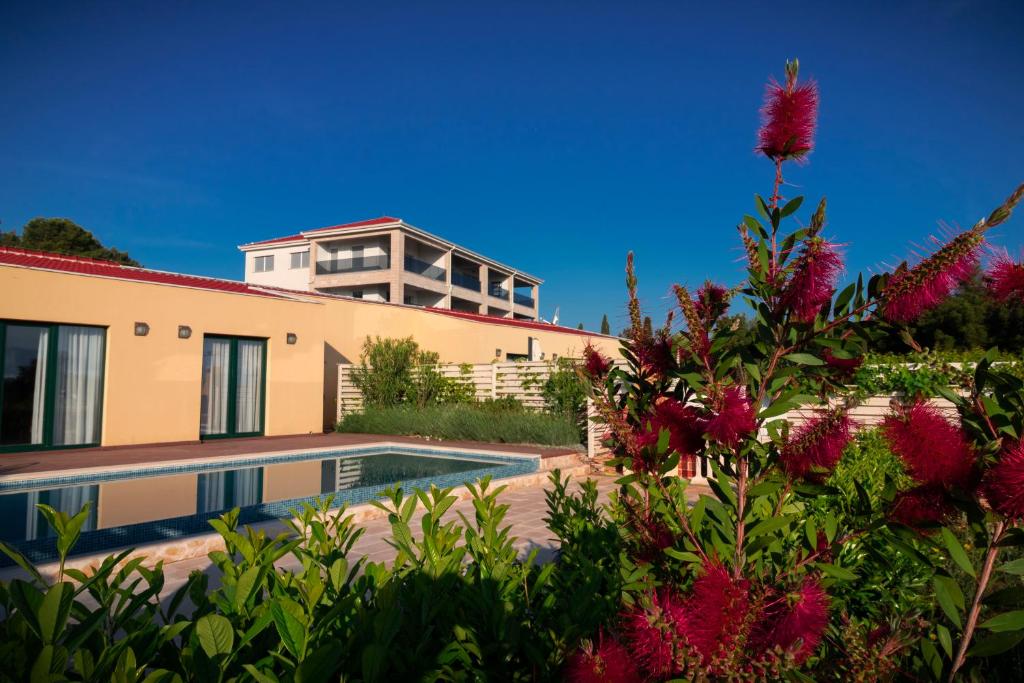 Sea Cats' Villas photo 3