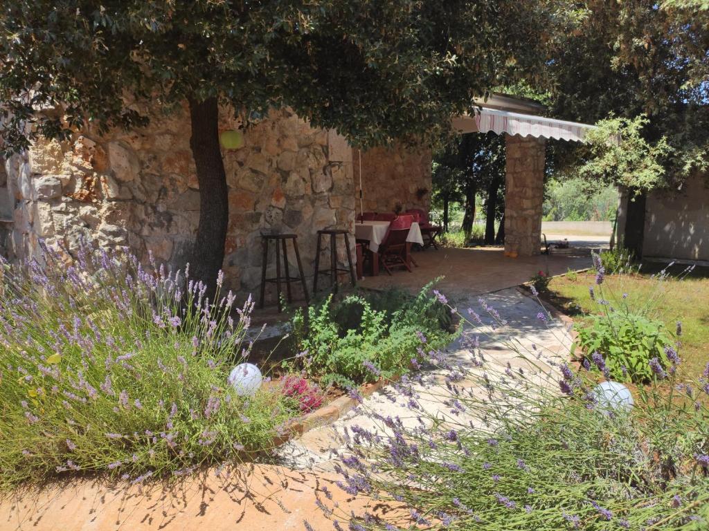 Holiday home Sea La Vie — photo 1