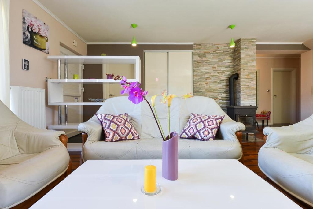 Villa Šima- luxury apartment with private pool photo 2