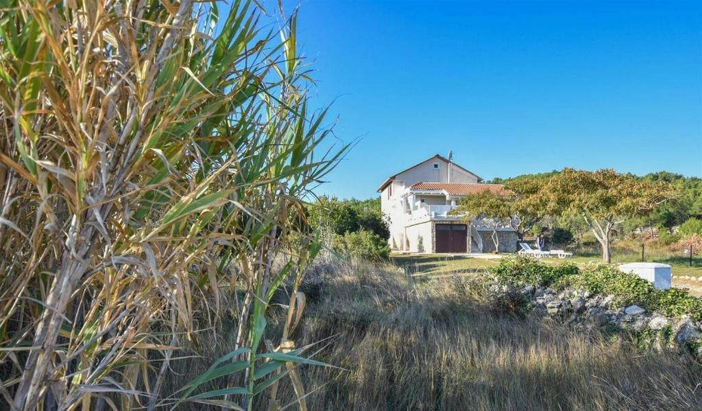 Seaside holiday house Banj — photo 1