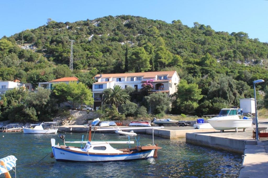 Apartments and rooms by the sea Zaklopatica — photo 1