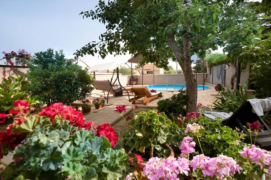 Spacious apartments with pool photo 2