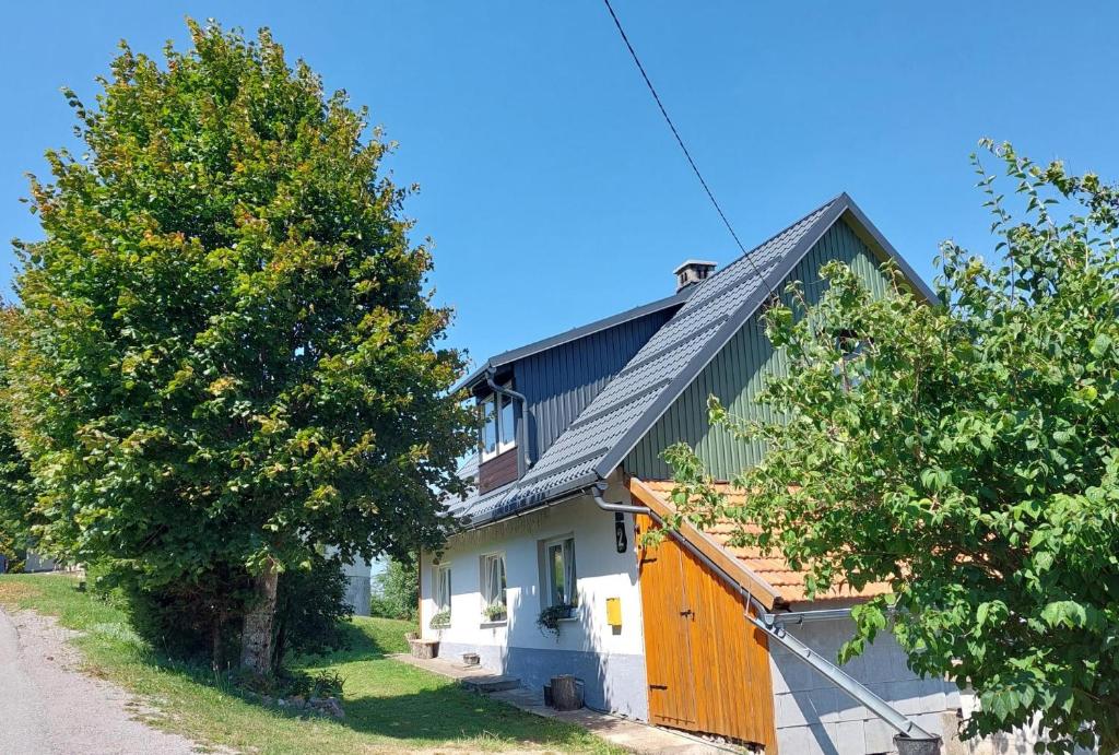 Zeleni brig — photo 1