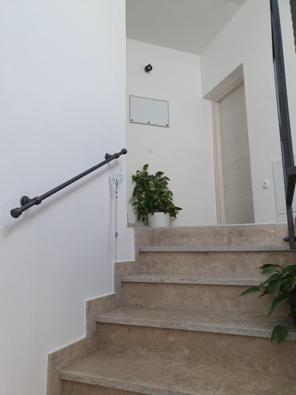 Studio Apartman Rubinić photo 2