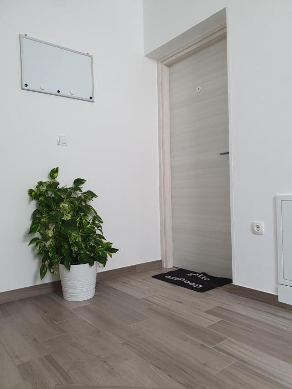 Studio Apartman Rubinić photo 3
