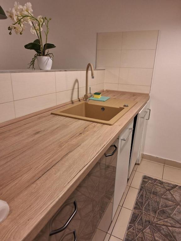 Apartman Lory photo 3