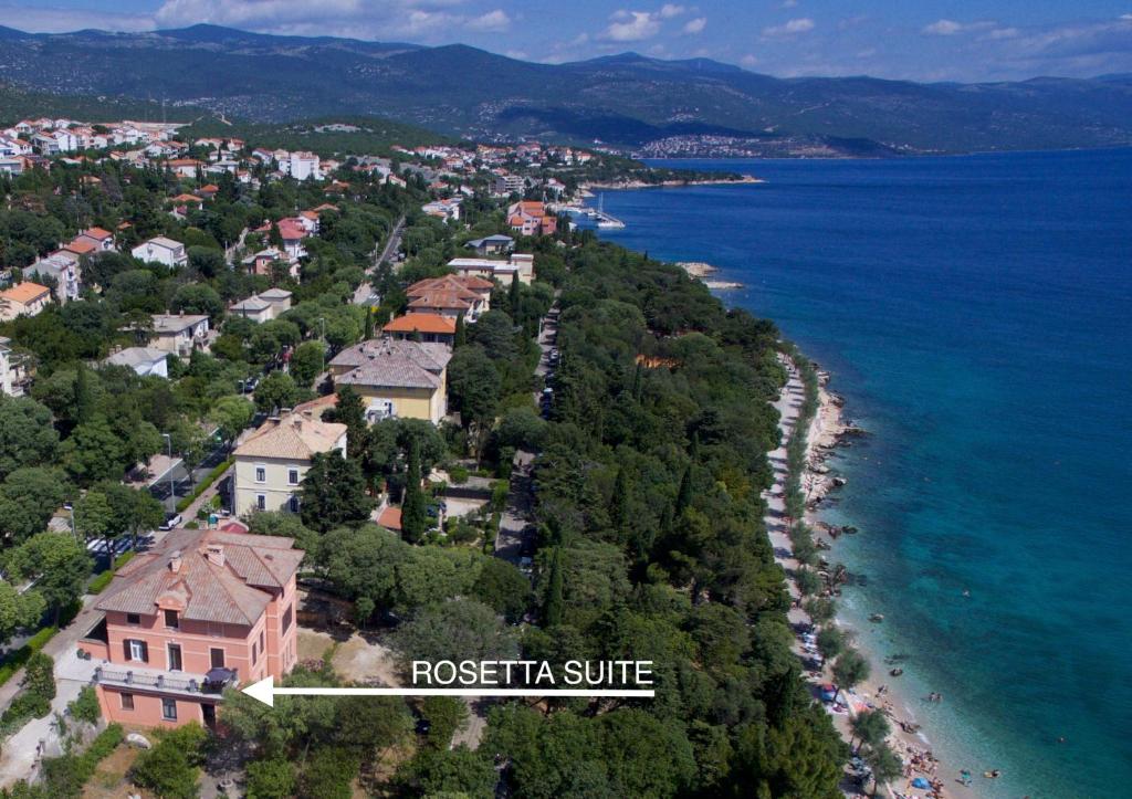 Rosetta Suite — photo 1