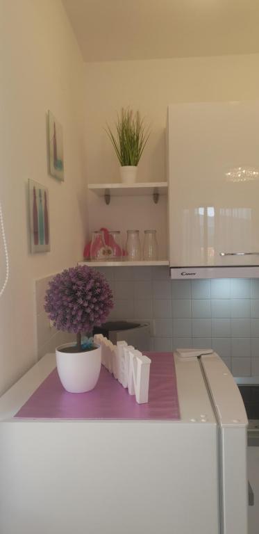 Apartment Rosana photo 3