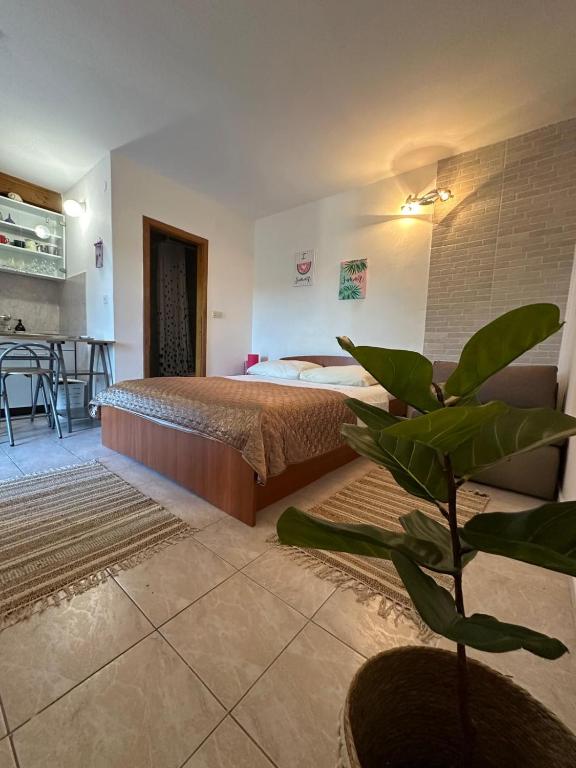 Apartments by the sea Trpanj photo 2